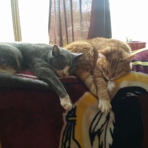 Meet your Posher, Michael